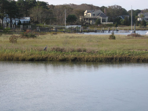 Healthy Clamming Beach close to boats