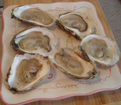 Katama Bay Oysters ready to eat!