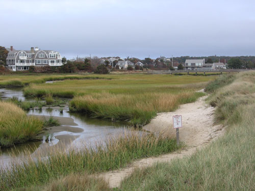 Salt Marsh with Closed to clamming and shellfishing Sign